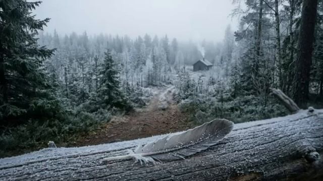 ТАЙГА.  СБОРНИК  ИНТЕРЕСНЫХ ТАЕЖНЫХ ИСТОРИЙ.