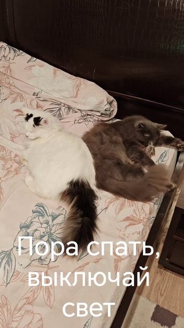 Мы уже готовы
