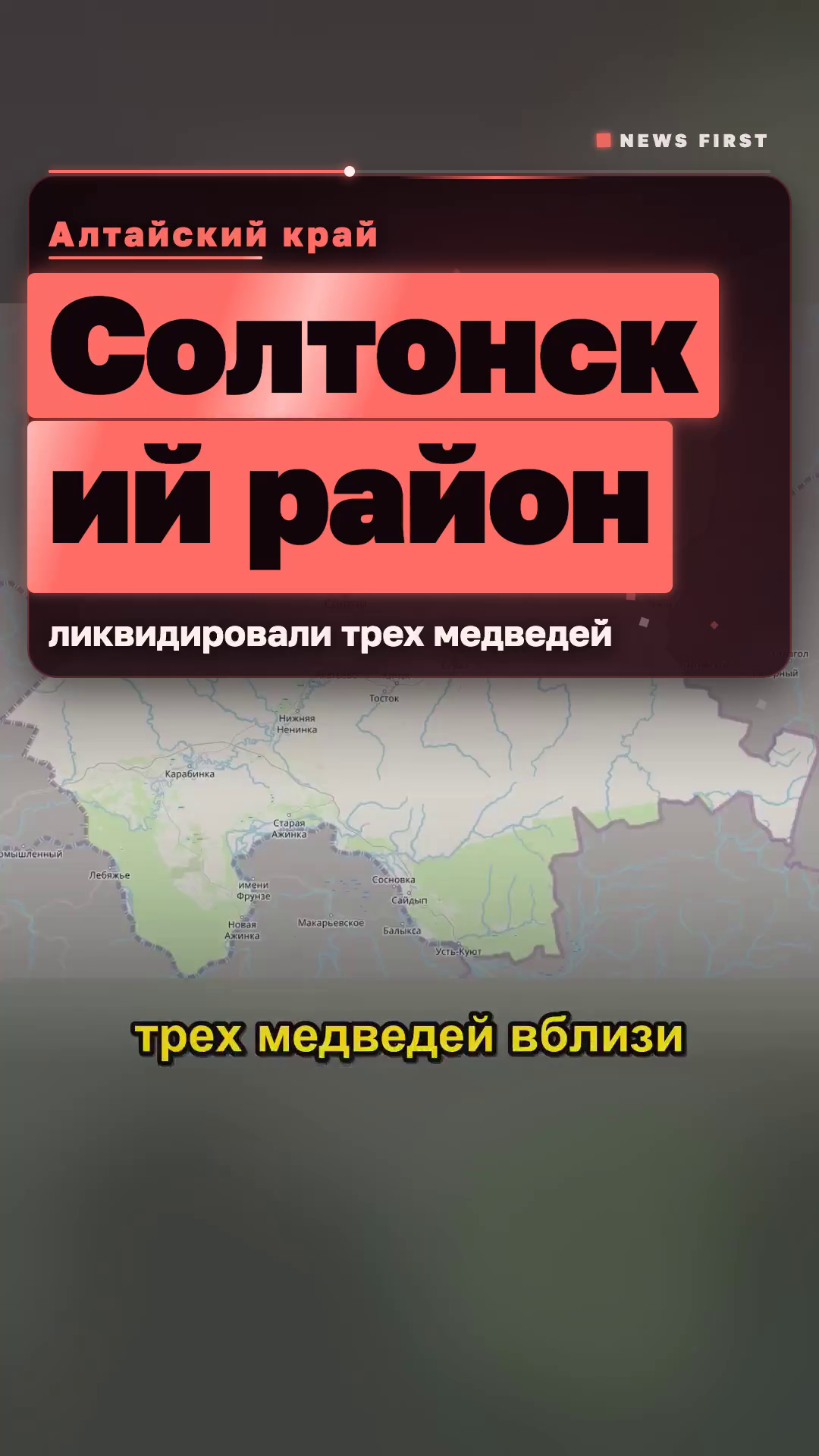 Меры безопасности в Солтонском районе после контакта людей с дикими животными
