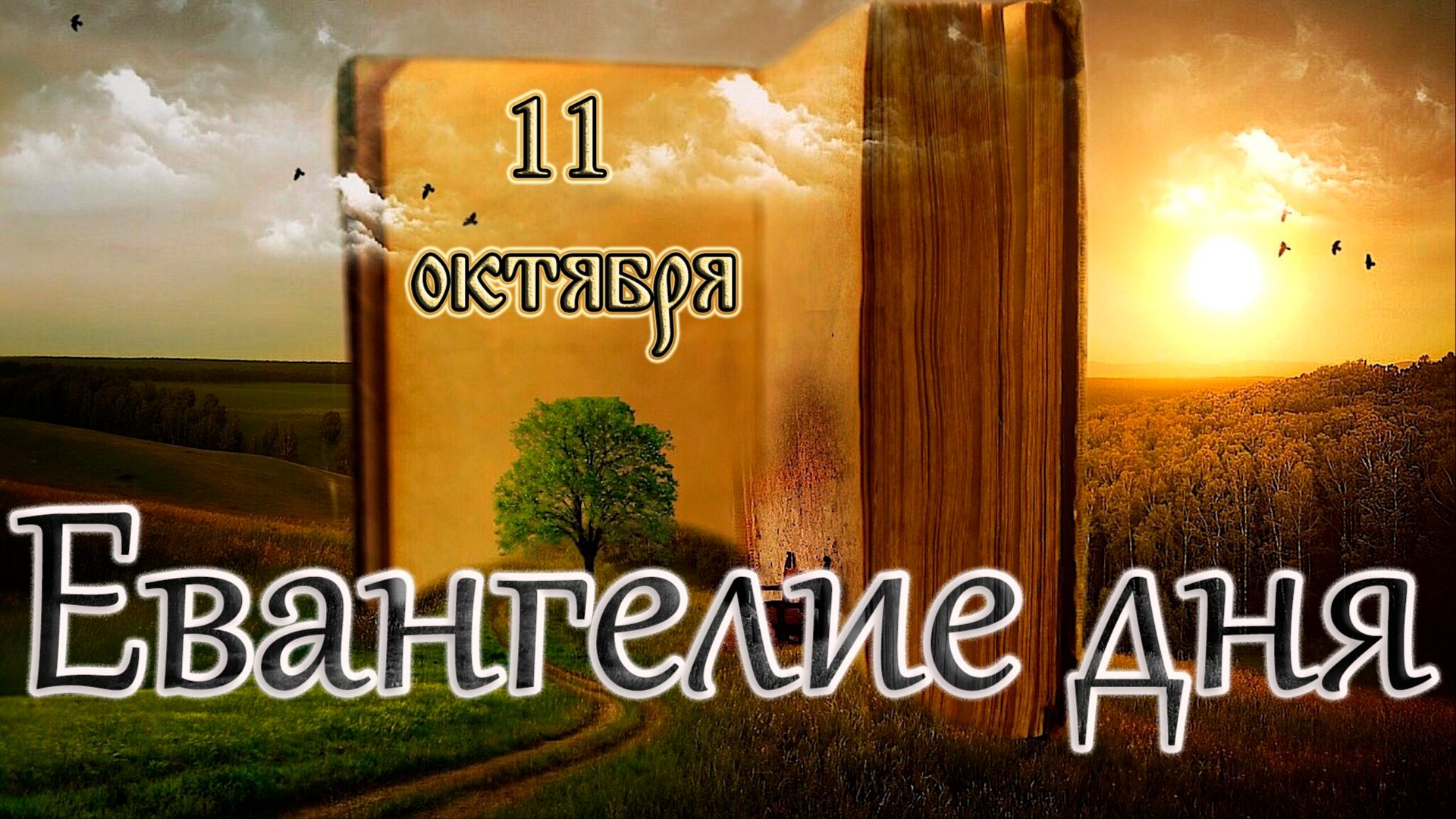 Апостол, Евангелие и Святые дня. Прп. Харитона Исповедника, епископа Иконийского. (11.10.26)