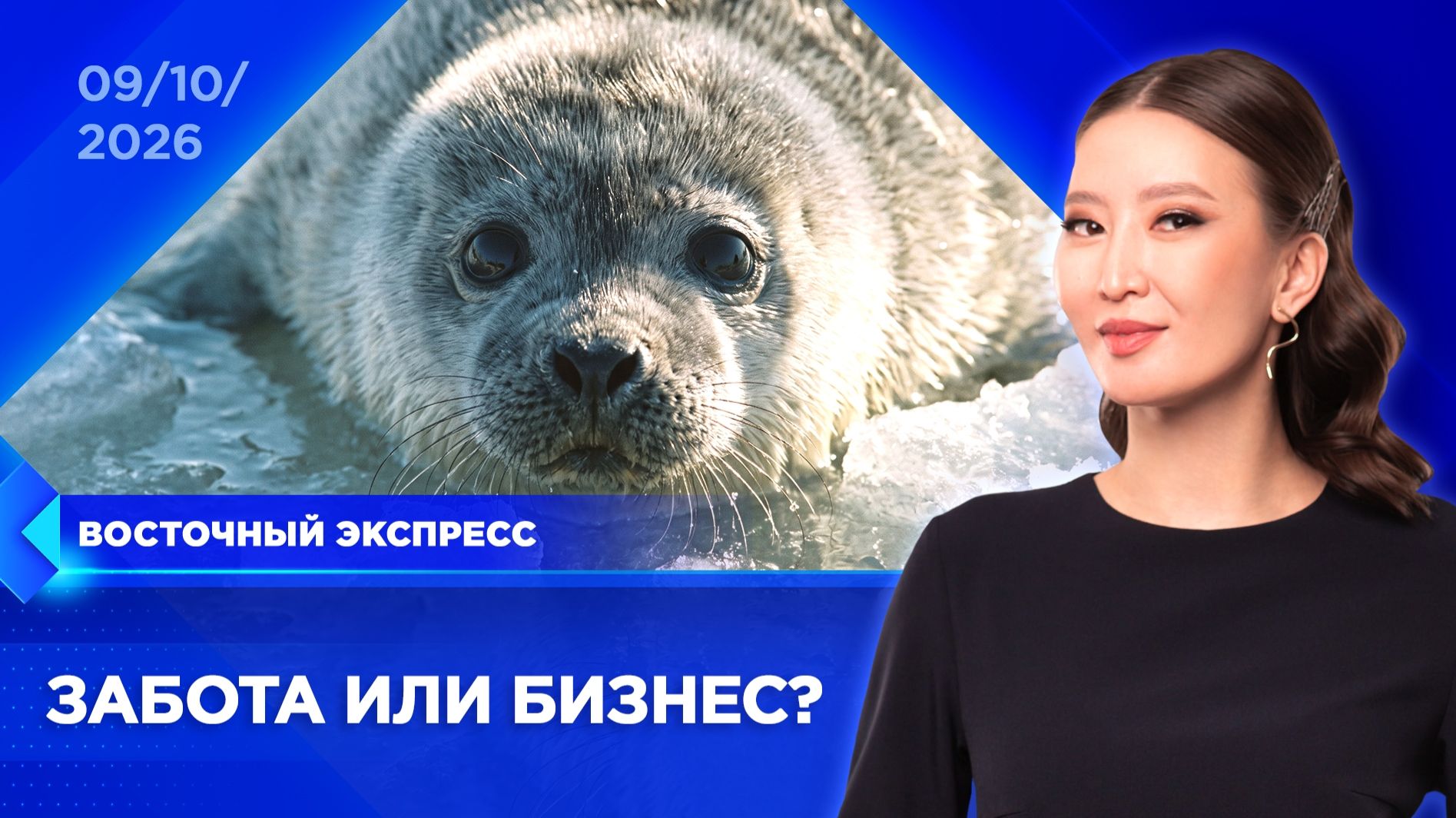 У биологов возникли вопросы к спасителям нерпы Сергеевны | «Восточный экспресс» | новости Бурятии