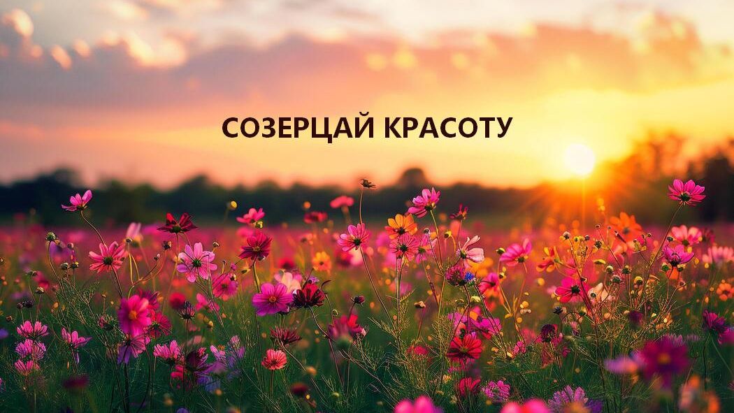 Следуй за вдохновением