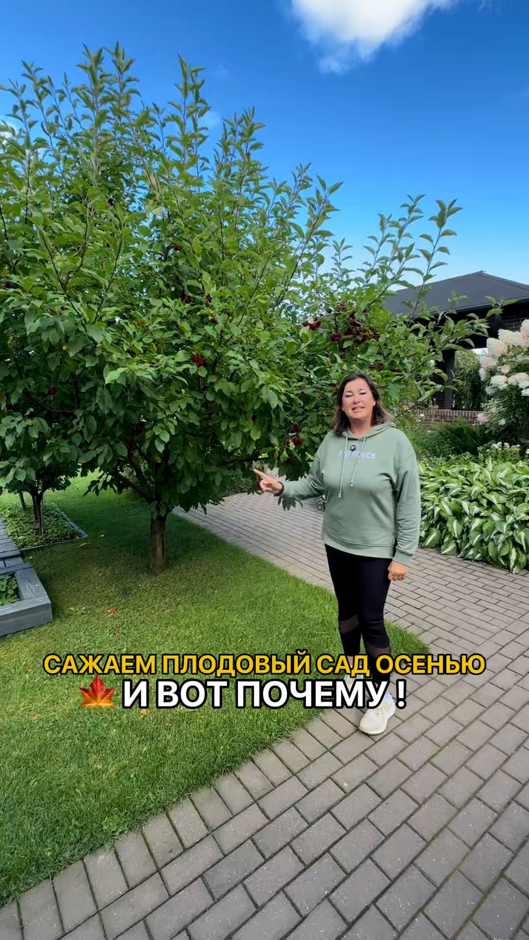 Почему плодовый сад НУЖНО САЖАТЬ ОСЕНЬЮ?