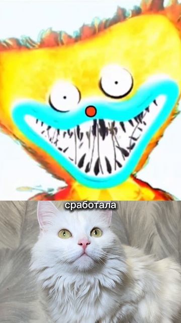 Ты смог его увидеть?