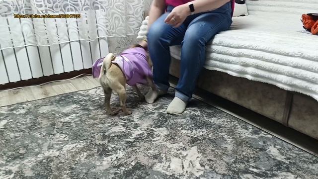 Горизонтальные видео