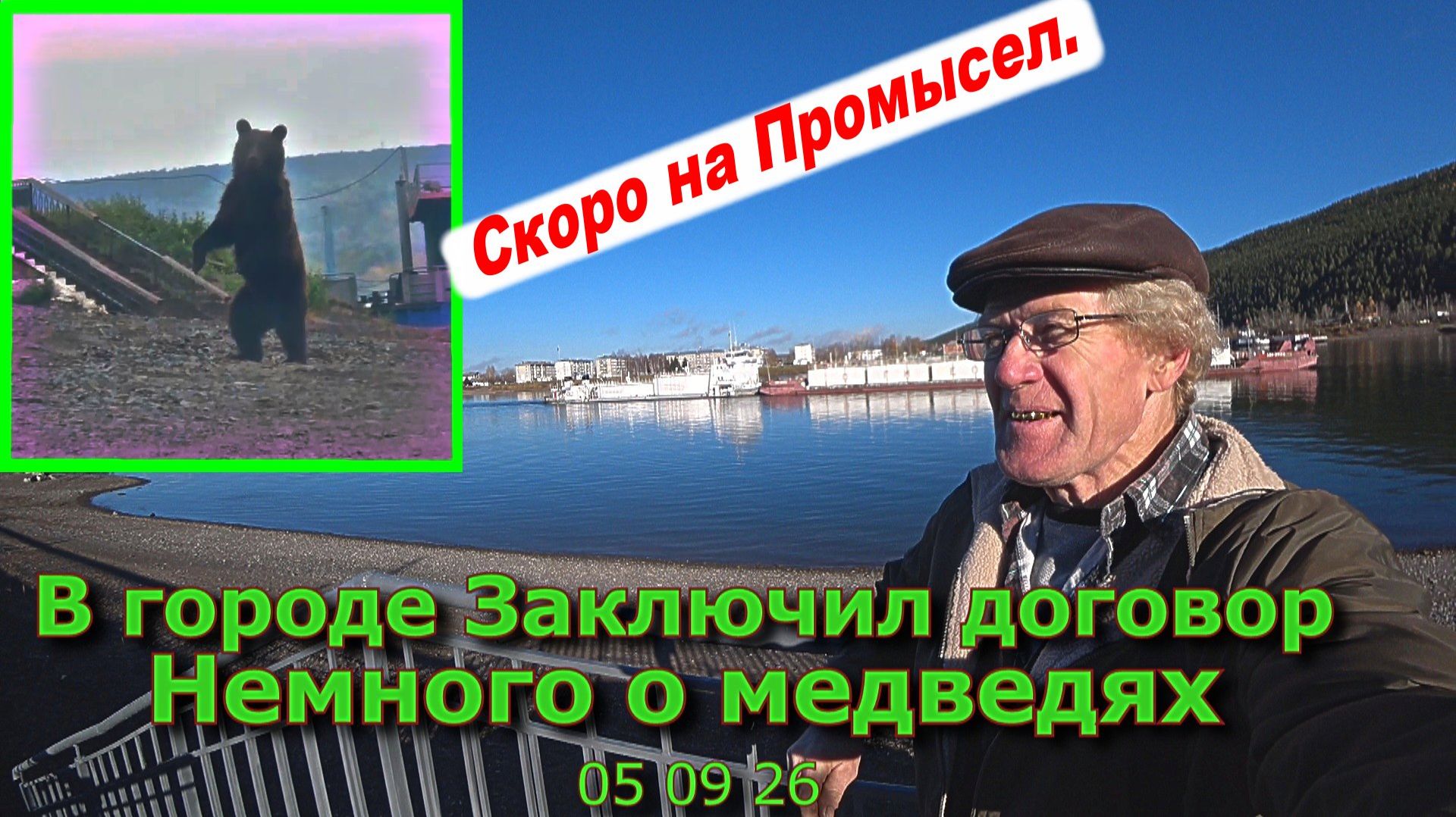 В городе Заключил договор Немного о медведях  05 09 26
