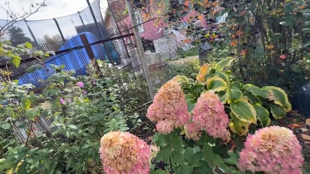 Женька дала жару 😂. Как и что укрываю. Как получился сарай у Бориса.