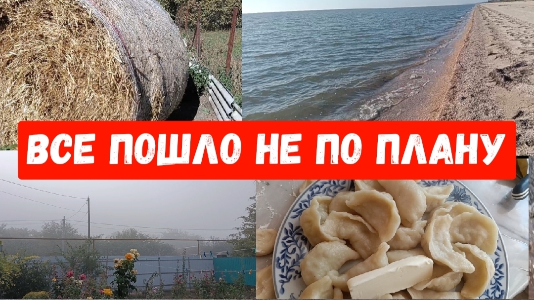 376🌹Все пошло не по плану/утром солома/После обеда море
