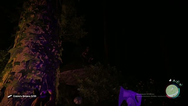 SOns of the FOREST (home)