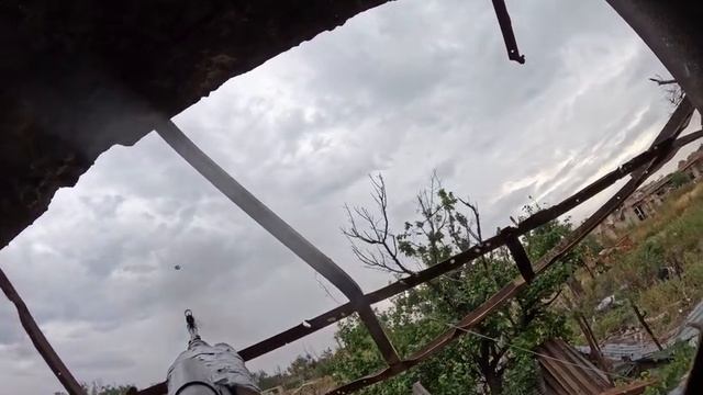 СВО