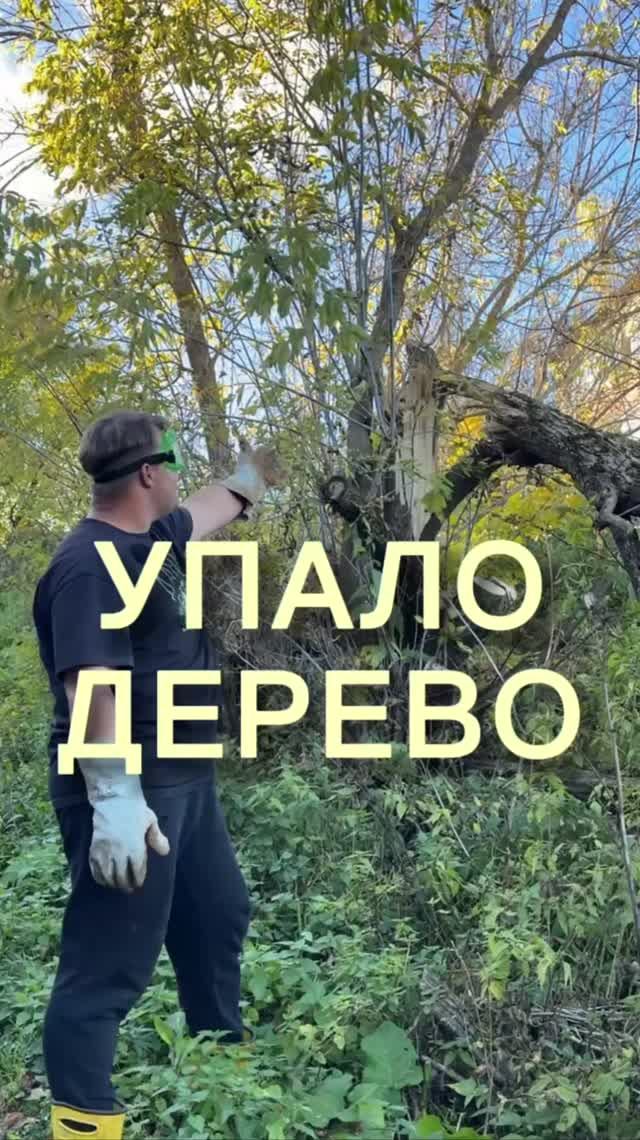 Незаменимый помощник в моем саду!