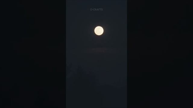 Древнекитайское