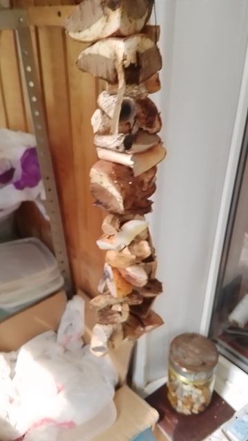 ШОТИКИ