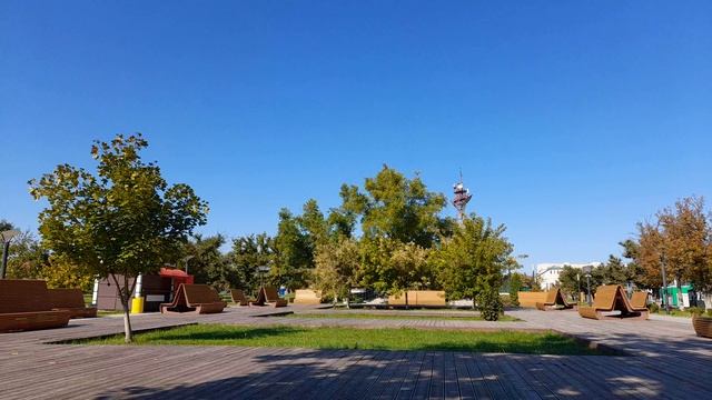Сижу,наслаждаюсь погодой,солнышко греет. 10.10.2026