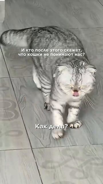 Мило и красиво