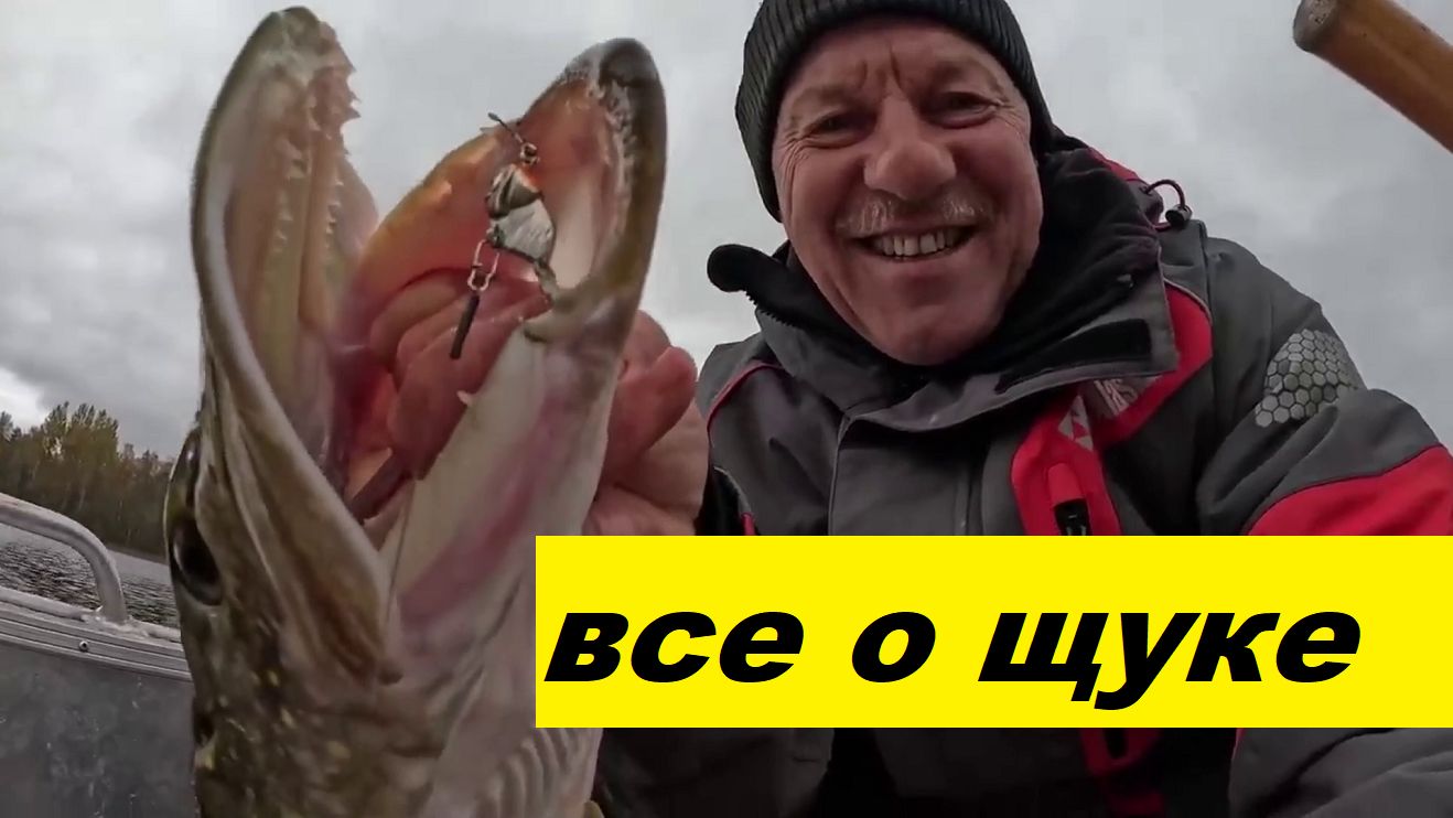 Ответы: зрение щуки, "партсобрания", размер воблера, троллинговые на твичинг, миграции судака и т.п.