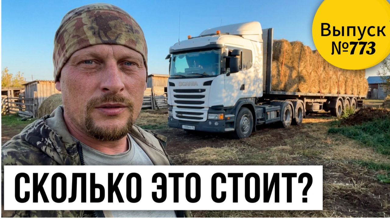 Сколько стоит сено в Сибири в 2026. Как мы готовим хозяйство к суровой зиме в Сибирской деревне.