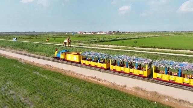 🌾Засоленные почвы у реки Хуанхэ превратили в огромную картину