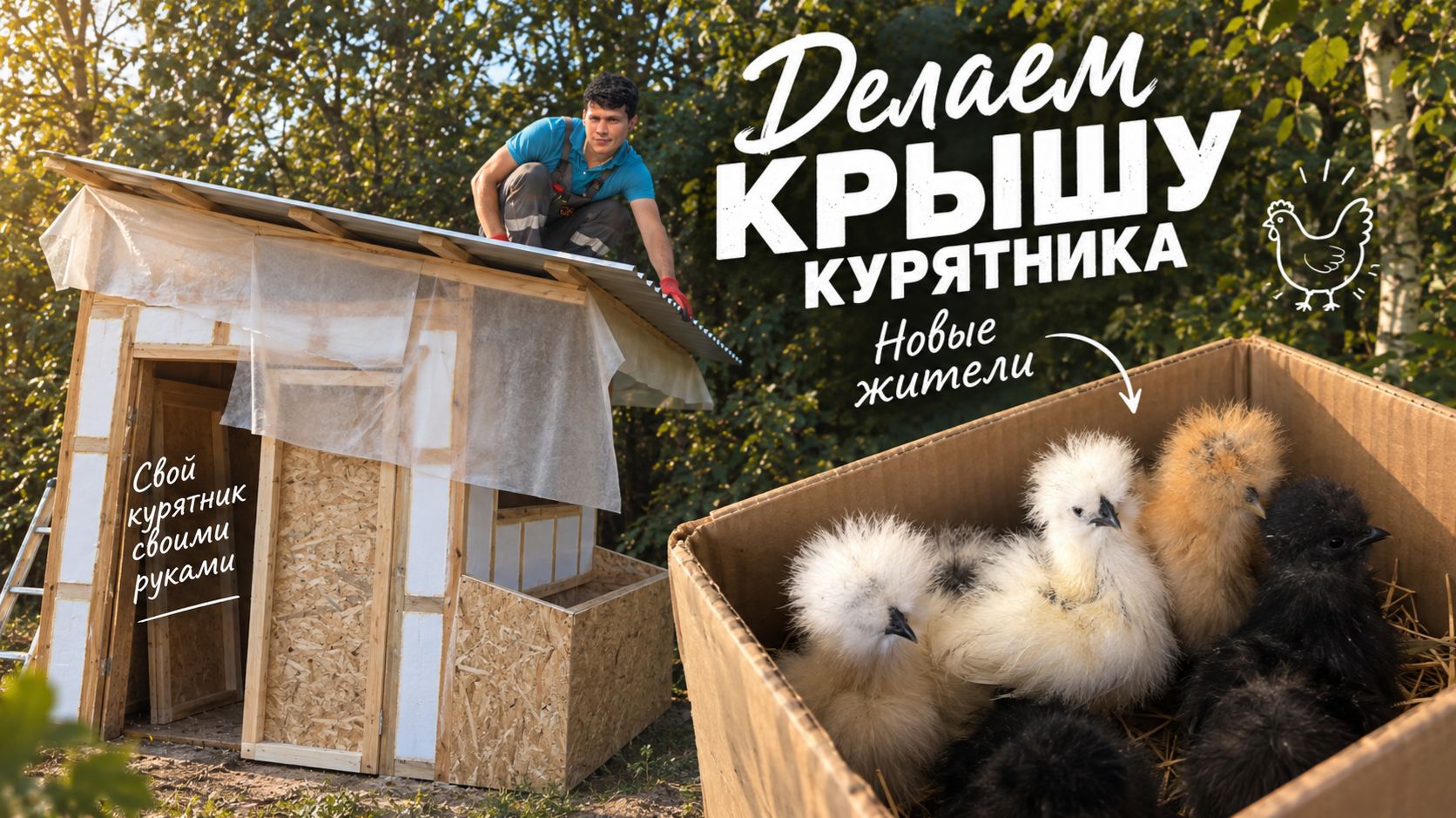 Мечта сбылась! Обшиваем курятник и забираем китайских шелковых цыплят!