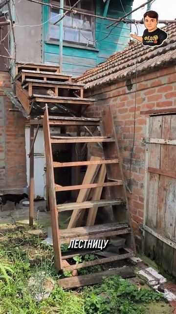 Клип @fedor_v_derevne