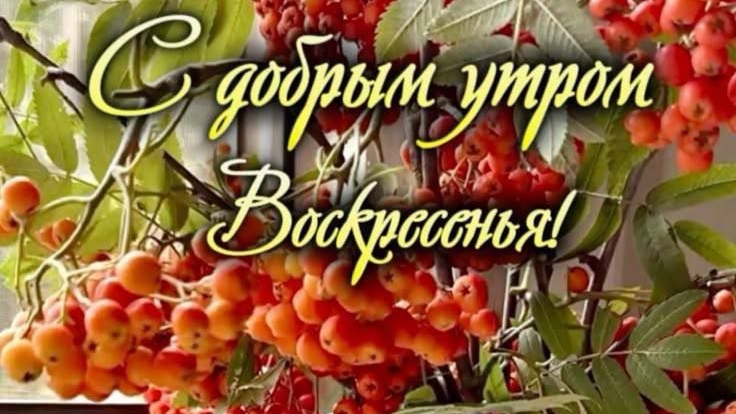 С добрым воскресным утром. Шикарная музыкальная открытка.