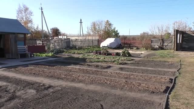 полезные советы