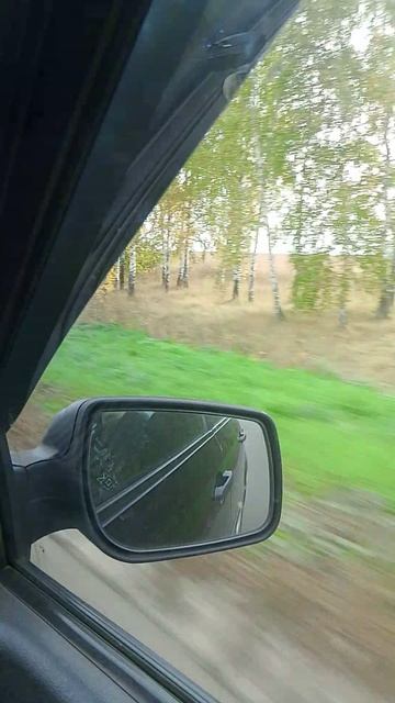 все реальной жизни видео