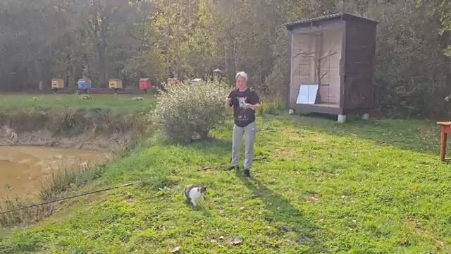 Дeрeвeнская стрoйка ШAГ ЗА ШAГОМ всё дeлаем свoими рукaми