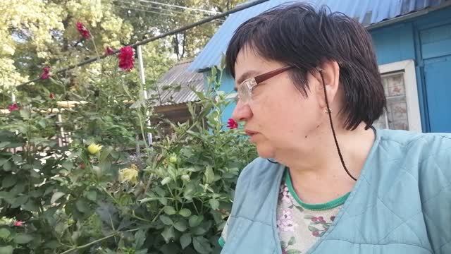 ЖИЗНЬ в ДЕРЕВНЕ / МОЙ ДЕНЬ / ЗАНИМАЮСЬ ВСЕМ ПОНЕМНОГУ...