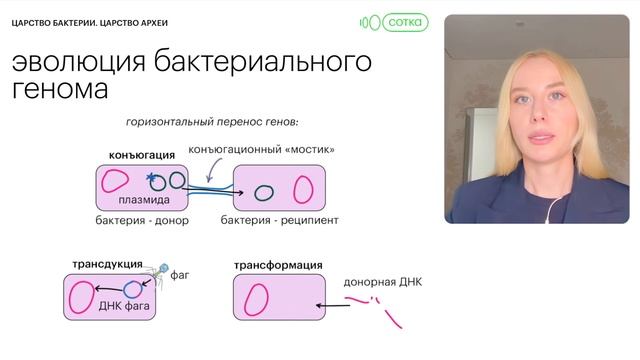 вебы биология