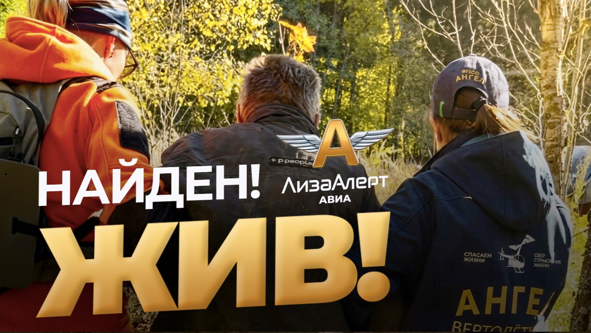 Истории спасения