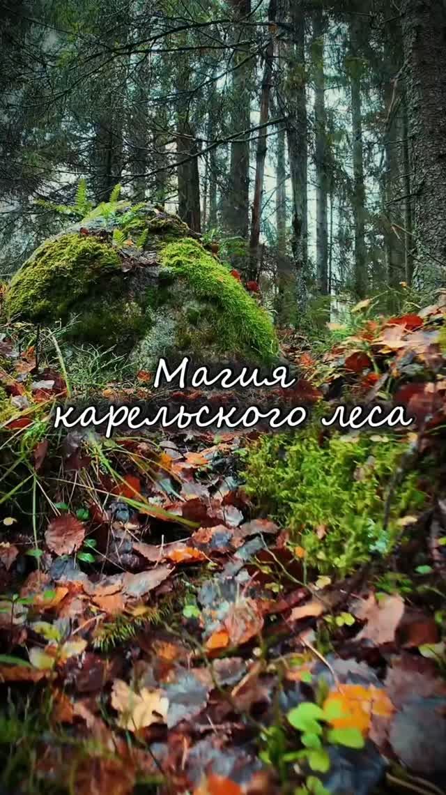 Путешествия