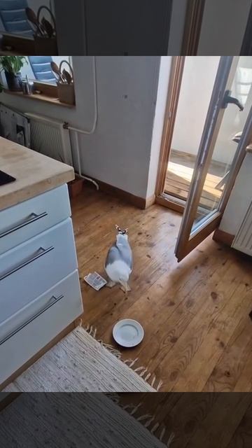 Это не наглость, а ускоренный доступ к цели