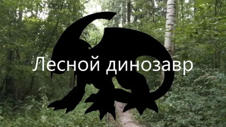 В Реальной Жизни