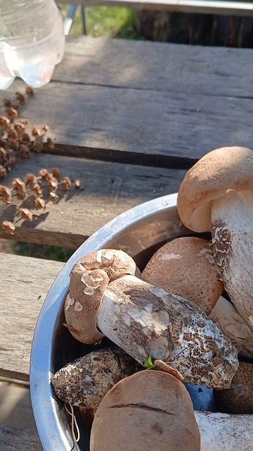 Разное