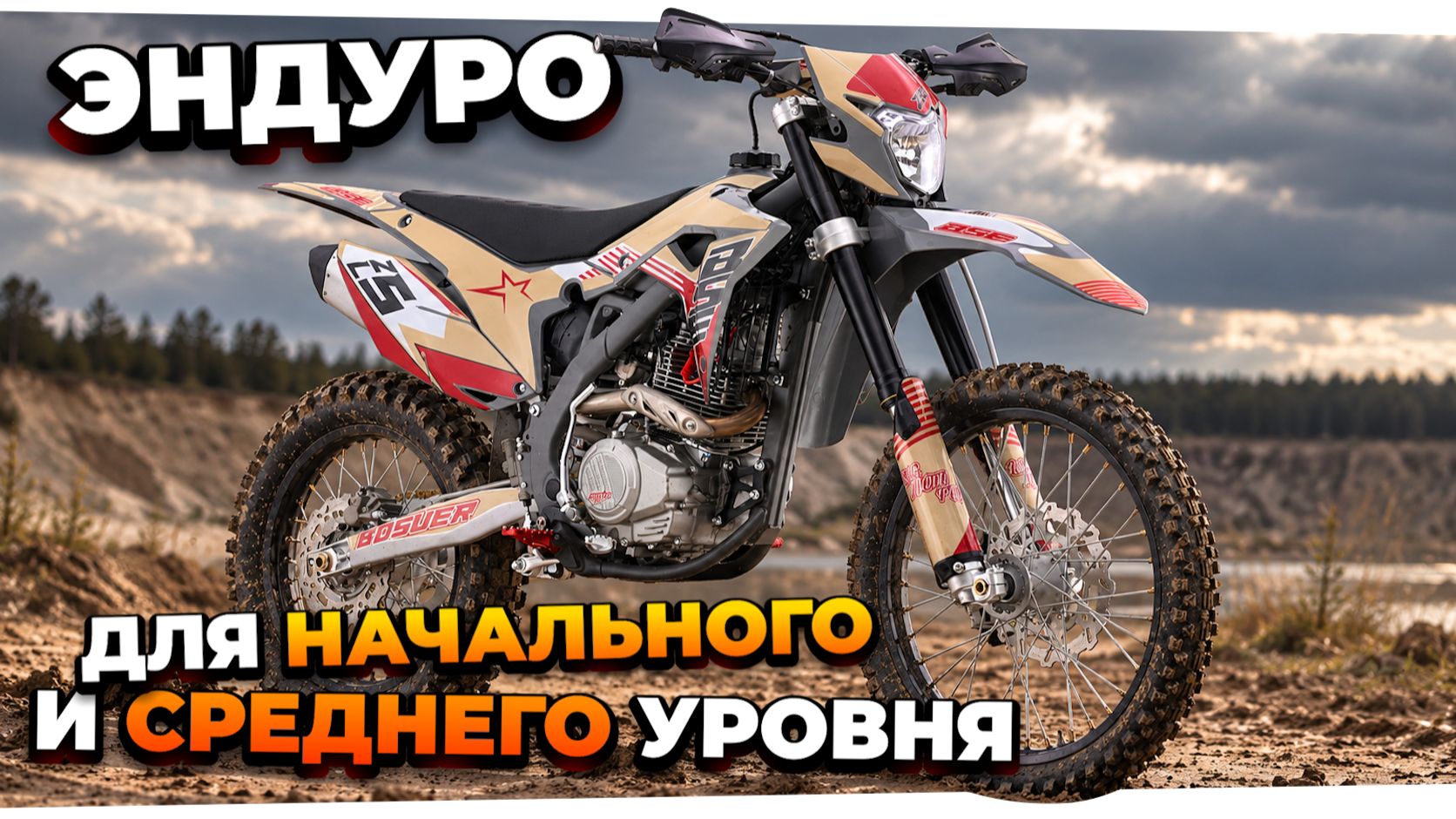 Мотоциклы и квадроциклы BSE