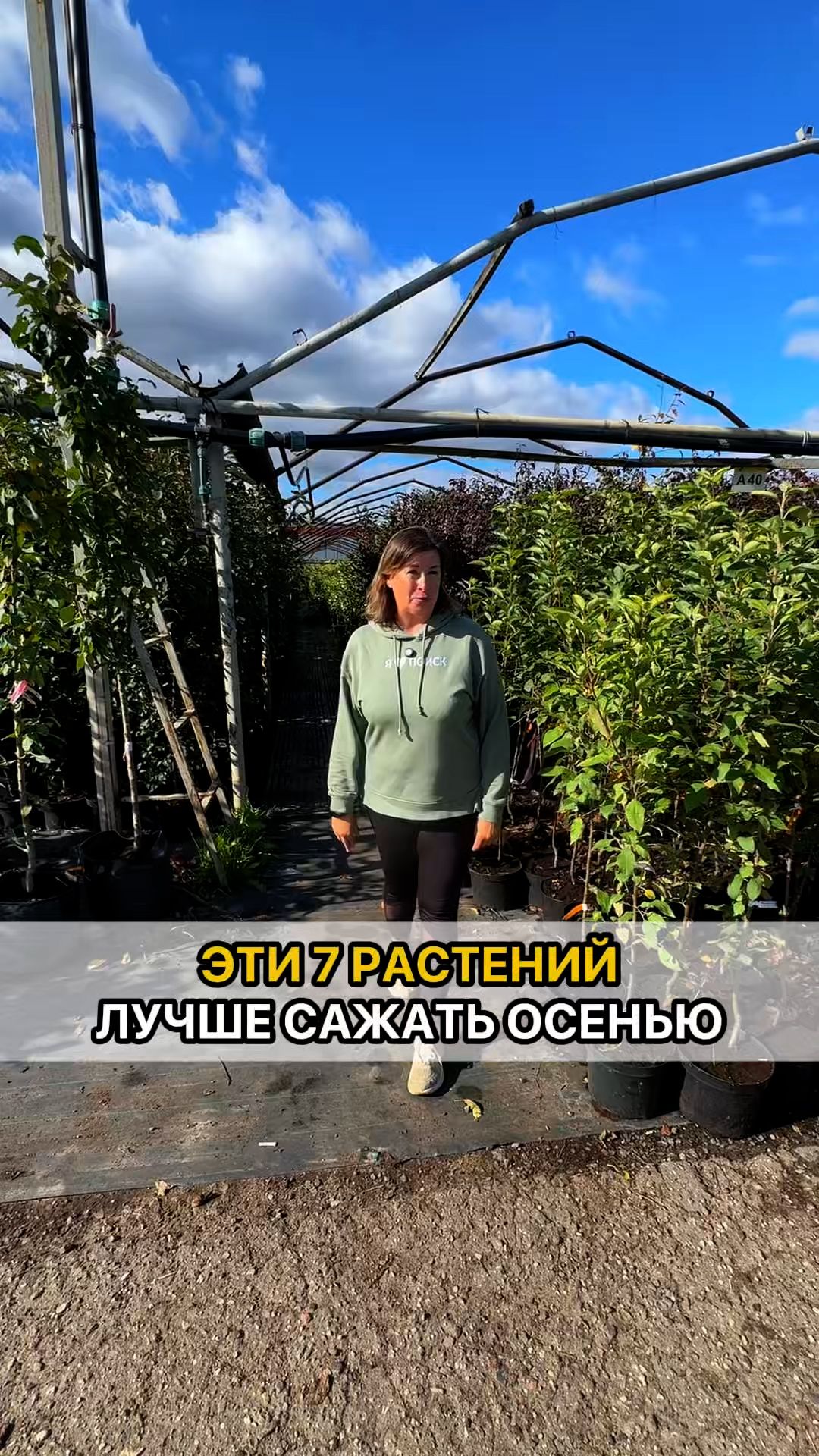 Плодовый сад. Выращивание, уход, обрезка