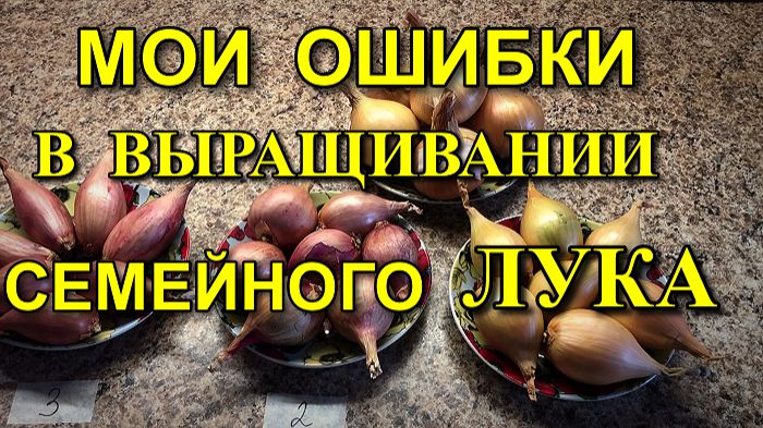 Лук