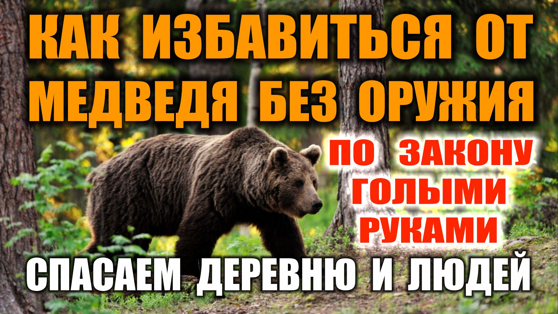 НАПАДЕНИЕ МЕДВЕДЯ. КАК СПАСТИСЬ ОТ МЕДВЕДЯ. Как избавится от медведя голыми руками и без оружия.