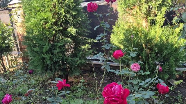РАБОТЫ В СВОЁМ 🏠 ХВАТАЕТ 🥰
