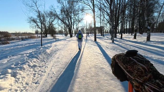 Трекинг и прогулки.