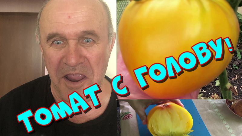Томаты