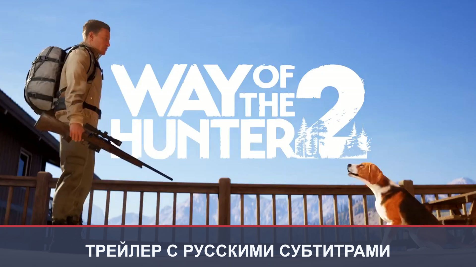 Приключения