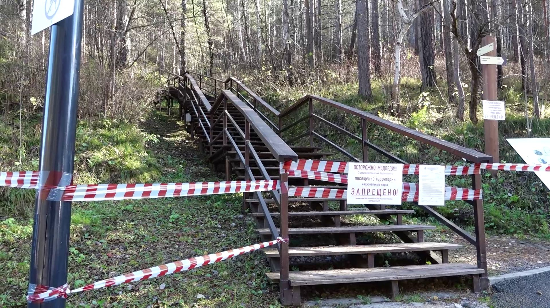 НАЦПАРК ПОКА ДЛЯ МЕДВЕДЕЙ