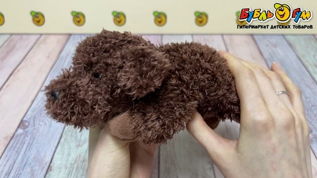 Игрушка мягкая LANSON TOYS Собачка Дружок 22см - видео