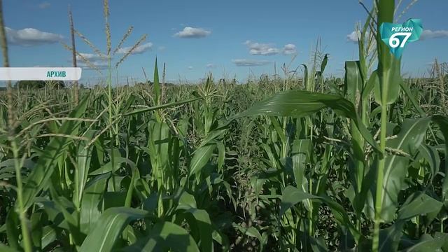 Смоляне получают надбавку к пенсии за сельский стаж