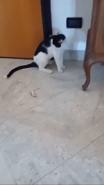 Хочешь жить - умей вертеться