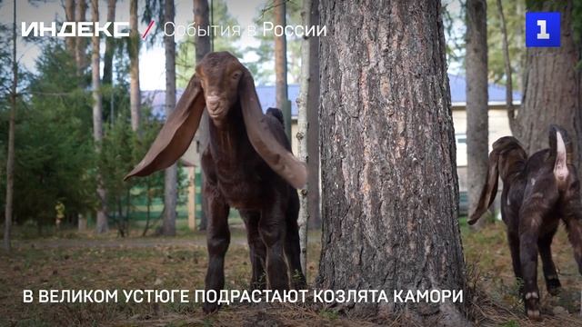 События в России