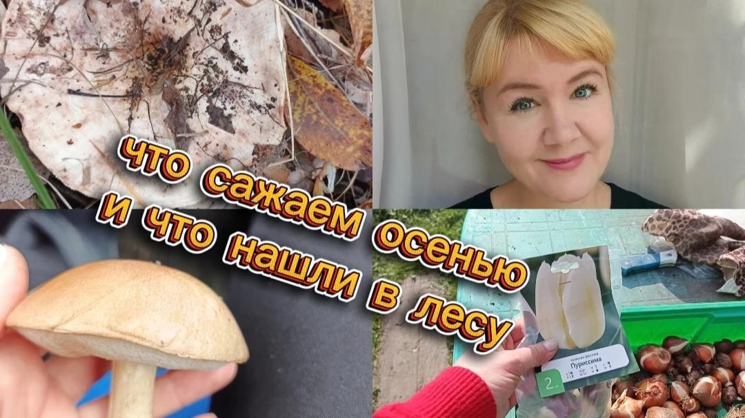 Наша дача