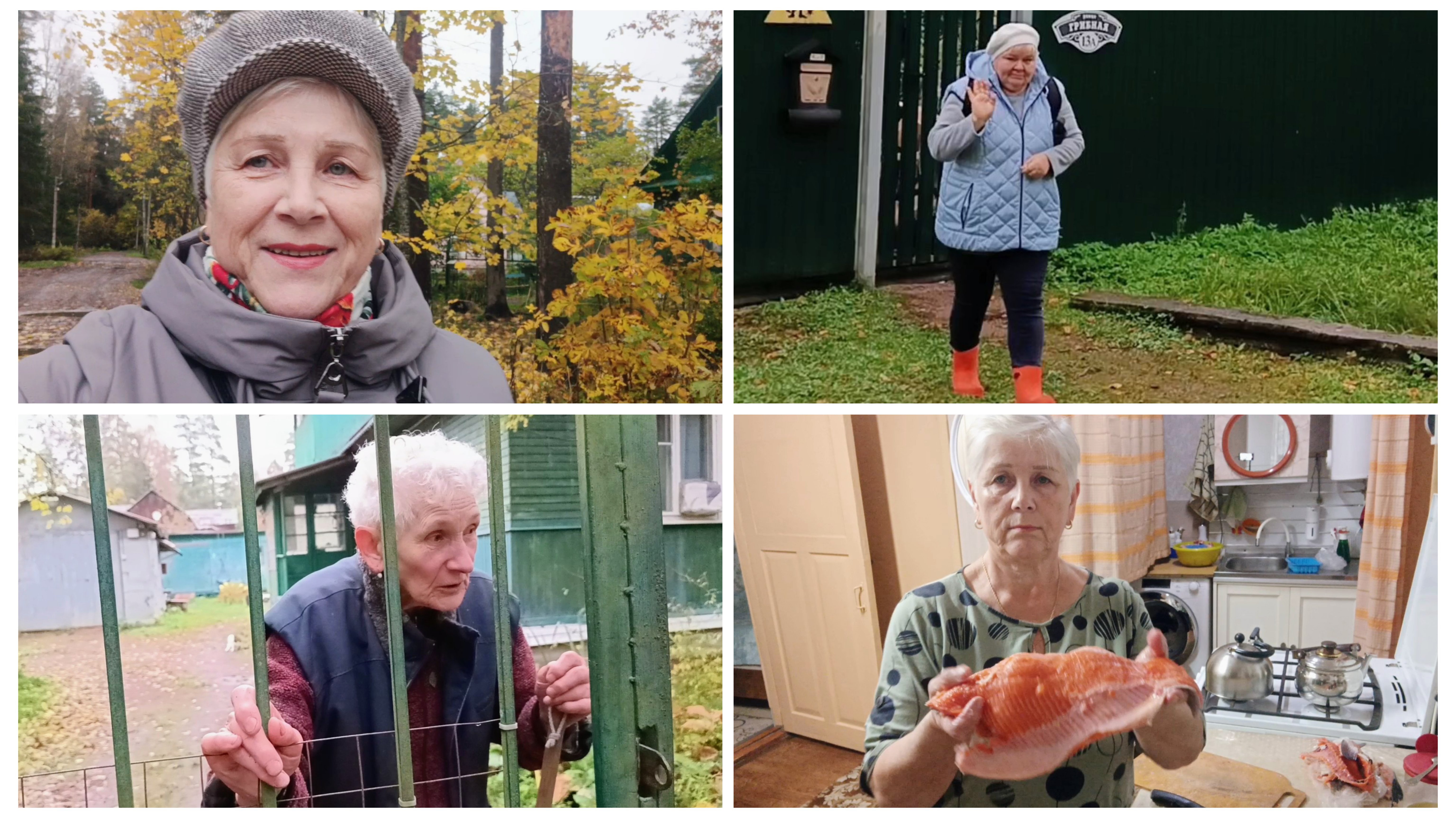 "Жизнь на пенсии"Вся  осень, одни дожди 🌧😄..)) Увидела своих соседей...